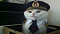 MFM Cat's Avatar