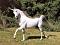 Lolunicorn12358