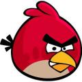 Angry Birds's Avatar