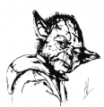 FM Yoda's Avatar